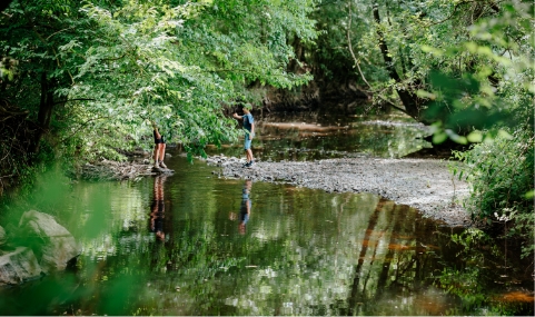 lac à proximité du camping de sainte Cécile proche du puy du fou en Vendée