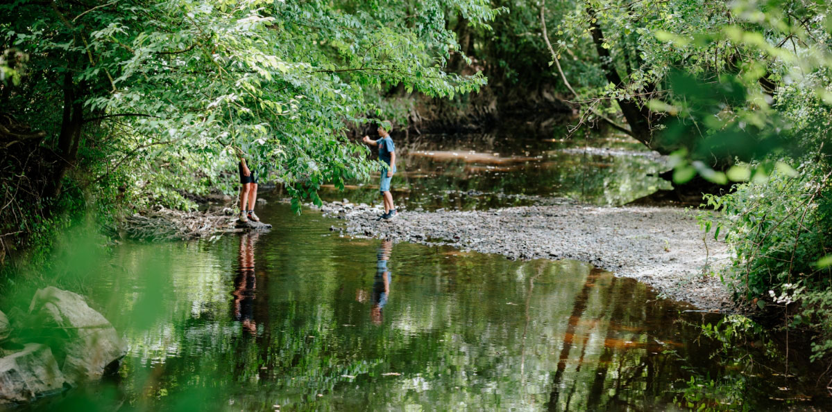 Découvrir les alentours de sainte cécile