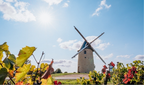 Moulin à vent proche du camping de sainte cécile