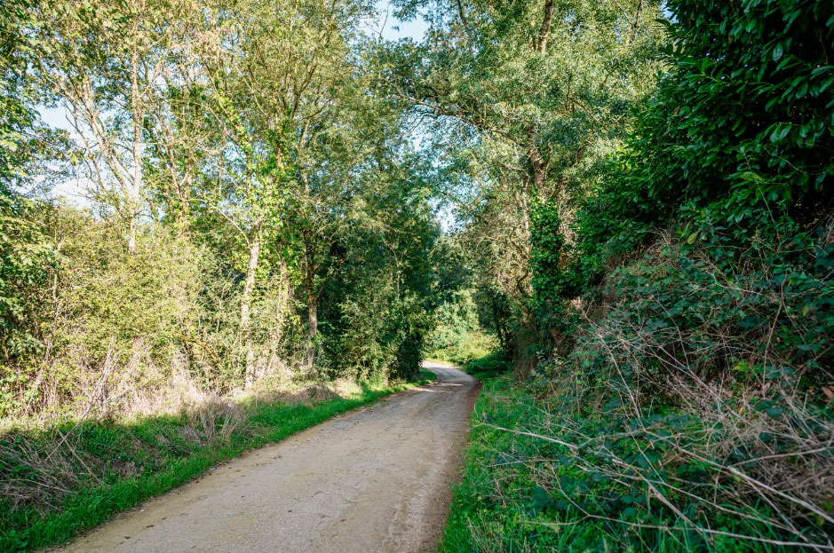 Sentier pédestre à sainte cécile 